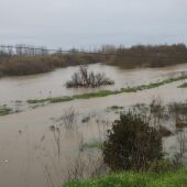 Río Tajo a su paso por Talavera de la Reina