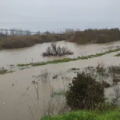 Río Tajo a su paso por Talavera de la Reina Río Tajo a su paso por Talavera de la Reina