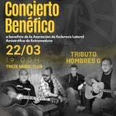 Cartel del concierto de Los Geiperman