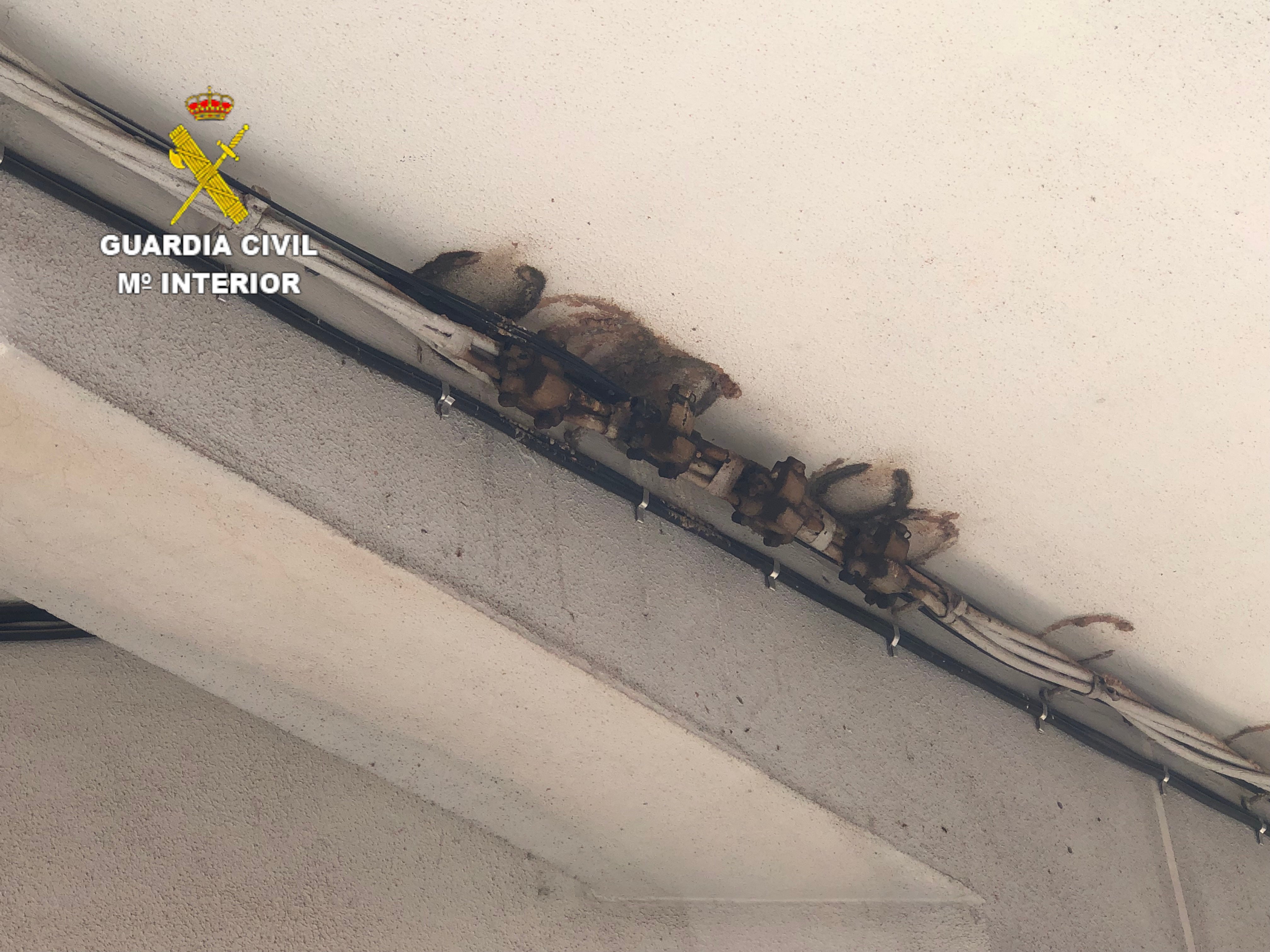 La Guardia Civil investiga a tres personas por la destrucción de nidos de avión en Almenara y Vall D´uixó La Guardia Civil investiga a tres personas por la destrucción de nidos de avión en Almenara y Vall D´uixó