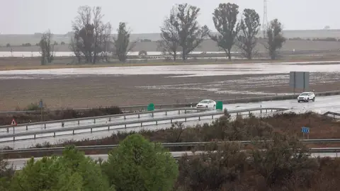 Inmediaciones de la carretera A-394 en Arahal, en foto de archivo. Inmediaciones de la carretera A-394 en Arahal, en foto de archivo.