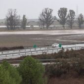 Inmediaciones de la carretera A-394 en Arahal, en foto de archivo.