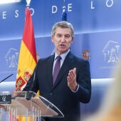 Alberto Núñez Feijóo, líder del PP 