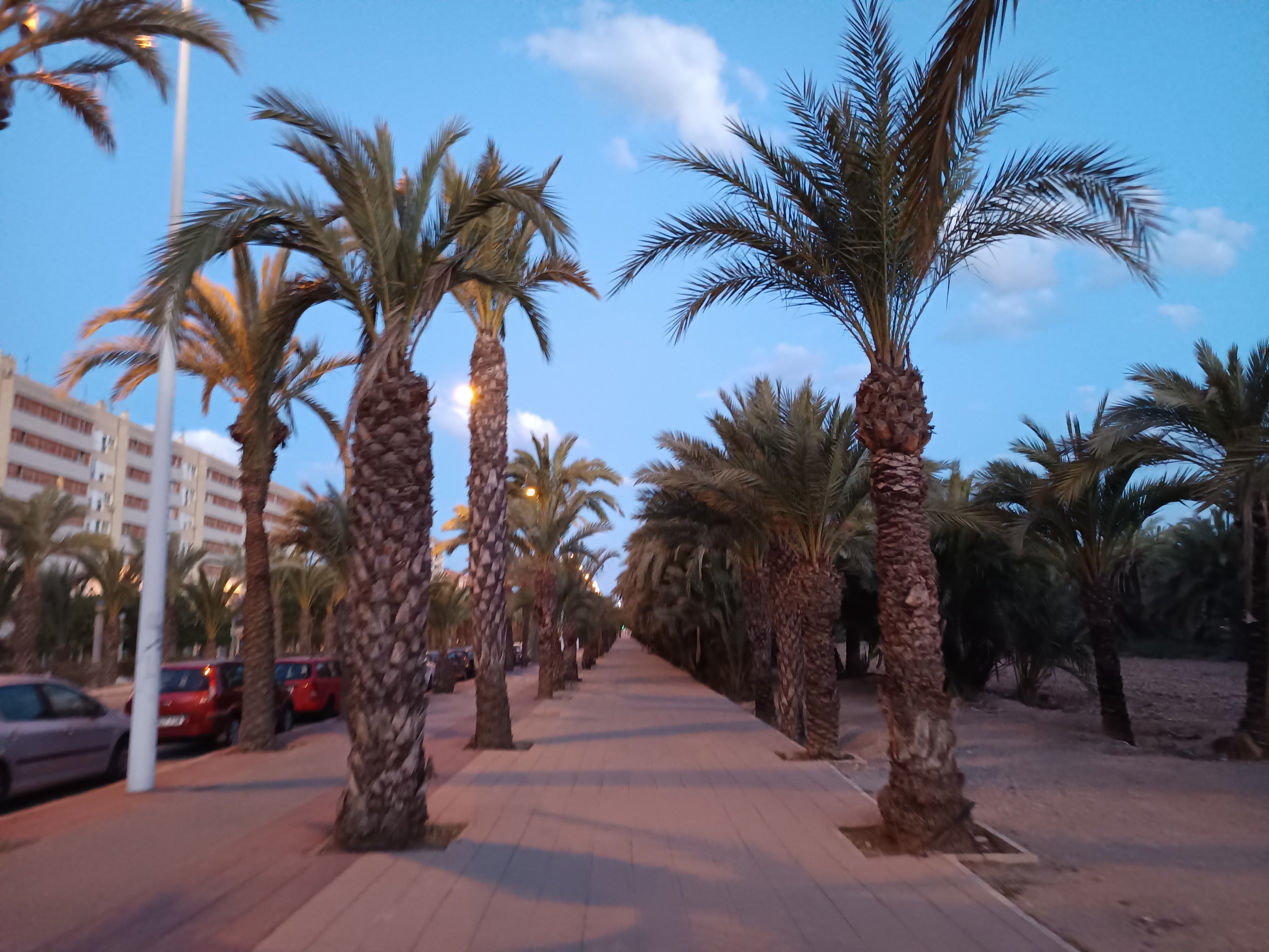 El viento amainará, subirán las temperaturas y predominarán los cielos despejados El viento amainará, subirán las temperaturas y predominarán los cielos despejados