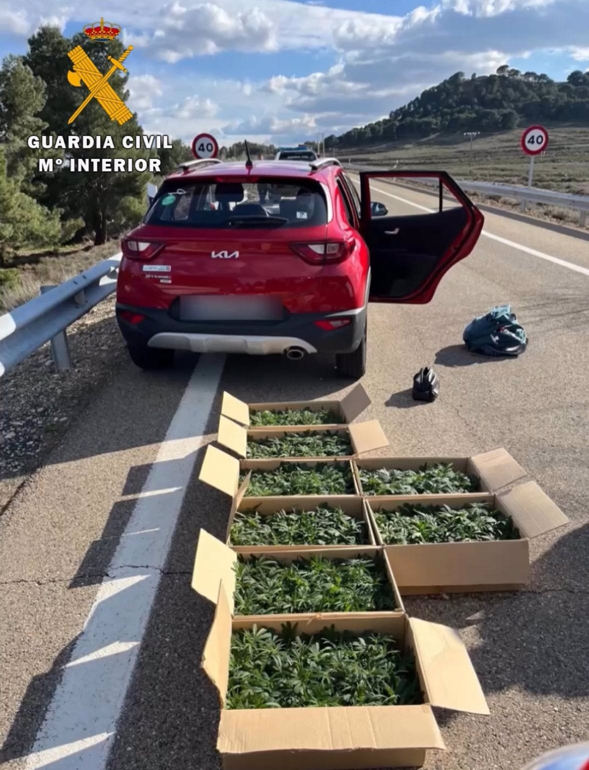 Detenido un conductor con 799 plantas de marihuana y circulando en sentido contrario en la AP-15 en Corella Detenido un conductor con 799 plantas de marihuana y circulando en sentido contrario en la AP-15 en Corella