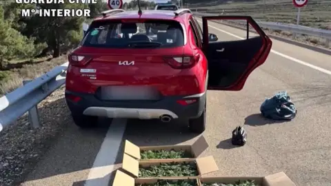 Vehículo interceptado con las plantas de marihuana Vehículo interceptado con las plantas de marihuana