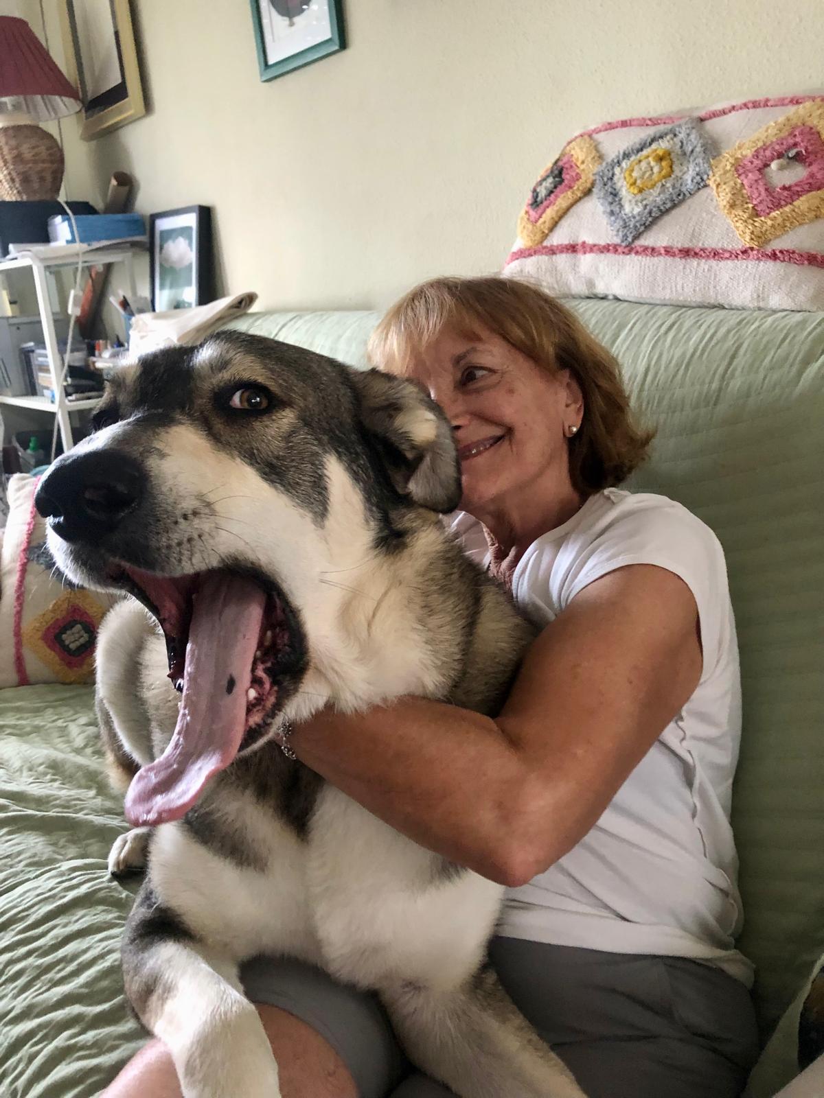 La Campaña de Esterilización de Mascotas 2025 de La Nucía comenzará el 1 de abril La Campaña de Esterilización de Mascotas 2025 de La Nucía comenzará el 1 de abril