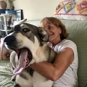 La Campaña de Esterilización de Mascotas 2025 de La Nucía comenzará el 1 de abril La Campaña de Esterilización de Mascotas 2025 de La Nucía comenzará el 1 de abril
