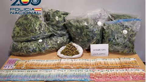 Desarticulado un grupo criminal de albaneses dedicado al cultivo y distribución de marihuana Desarticulado un grupo criminal de albaneses dedicado al cultivo y distribución de marihuana