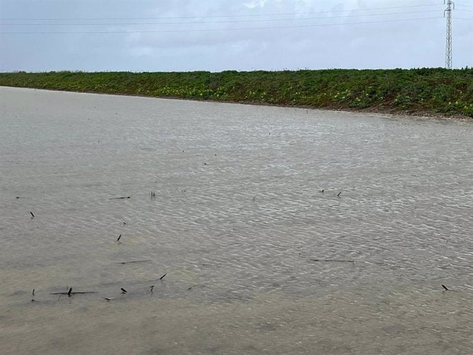 Se busca a un matrimonio desaparecido tras ser arrastrado su coche por un arroyo en Constantina Se busca a un matrimonio desaparecido tras ser arrastrado su coche por un arroyo en Constantina