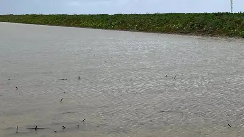 Imágenes de los cultivos inundados en Trajano Imágenes de los cultivos inundados en Trajano