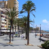El Ayuntamiento de Torrevieja restablece la zona de ocupación en la vía pública de los establecimientos de hostelería El Ayuntamiento de Torrevieja restablece la zona de ocupación en la vía pública de los establecimientos de hostelería