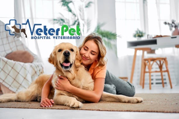 ¿Por qué no hay que abrazar a los perros? Parece que no es la mejor forma de mostrarles nuestro afecto ¿Por qué no hay que abrazar a los perros? Parece que no es la mejor forma de mostrarles nuestro afecto