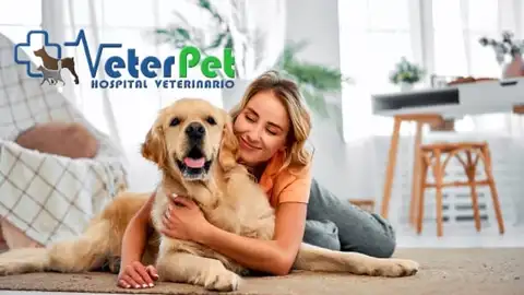 ¿Por qué no hay que abrazar a los perros? No es la mejor forma de mostrarles nuestro afecto ¿Por qué no hay que abrazar a los perros? No es la mejor forma de mostrarles nuestro afecto