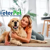 ¿Por qué no hay que abrazar a los perros? No es la mejor forma de mostrarles nuestro afecto ¿Por qué no hay que abrazar a los perros? No es la mejor forma de mostrarles nuestro afecto