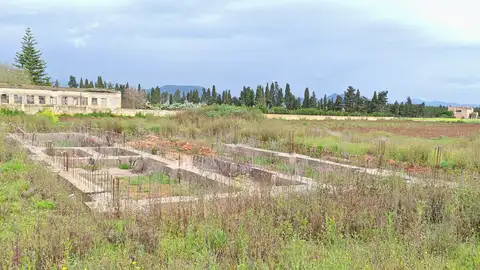 Propiedad afectada por una presunta estafa inmobiliaria con casas modulares entre Muro y Can Picafort, Mallorca Propiedad afectada por una presunta estafa inmobiliaria con casas modulares entre Muro y Can Picafort, Mallorca