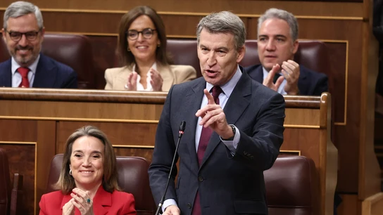 El presidente del PP, Alberto Núñez Feijóo El presidente del PP, Alberto Núñez Feijóo