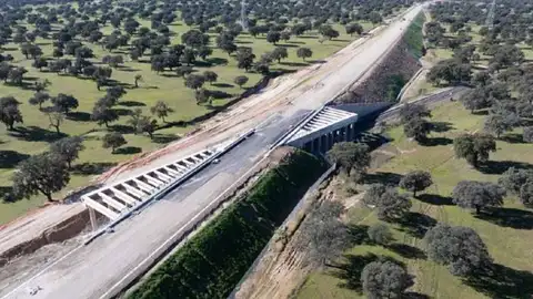 Licitada por 112,5 millones de euros la instalación de la señalización y las comunicaciones de la línea entre Talayuela y Plasencia Licitada por 112,5 millones de euros la instalación de la señalización y las comunicaciones de la línea entre Talayuela y Plasencia