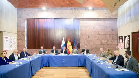 Reunión del Pacto Canario de la Inmigración del 19 de marzo de 2025 Reunión del Pacto Canario de la Inmigración del 19 de marzo de 2025