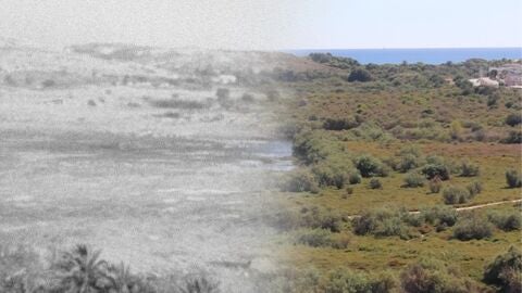El concurso ‘PhotoClot’ afronta este 2025 una edición especial para recordar el pasado del Clot de Galvany de Elche. El concurso ‘PhotoClot’ afronta este 2025 una edición especial para recordar el pasado del Clot de Galvany de Elche.