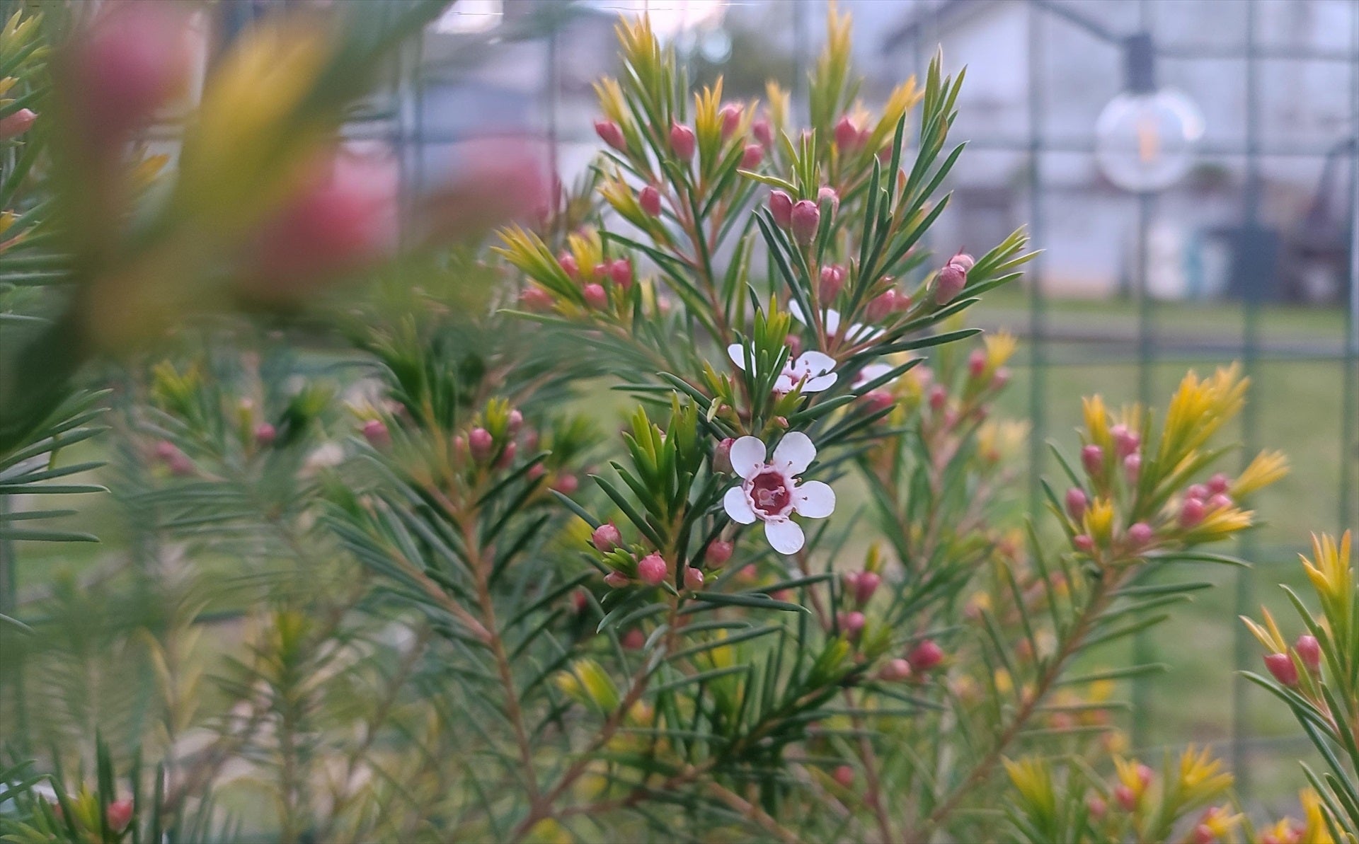 Cuándo empieza la primavera en España: a qué hora entra la nueva estación Cuándo empieza la primavera en España: a qué hora entra la nueva estación