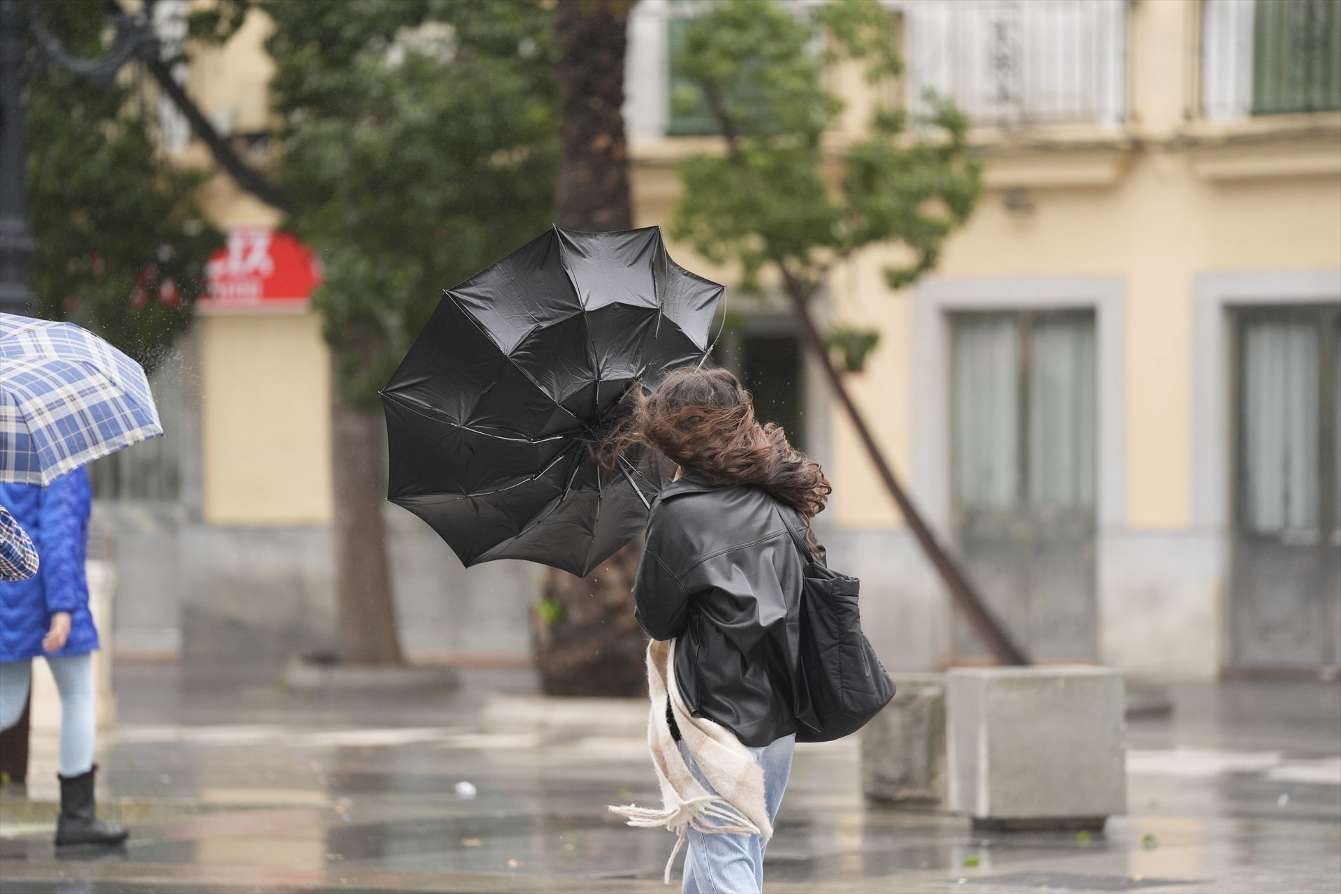 Más de la mitad de España, en alerta por la borrasca Martinho: las zonas más afectadas por lluvias intensas y vientos "muy fuertes" Más de la mitad de España, en alerta por la borrasca Martinho: las zonas más afectadas por lluvias intensas y vientos "muy fuertes"