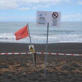 Imagen de Playa Jardín 