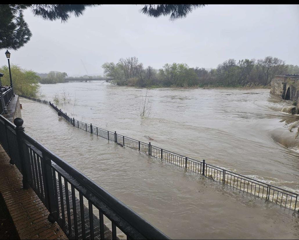 El Tajo ya alcanza los 950 m³/s El Tajo ya alcanza los 950 m³/s
