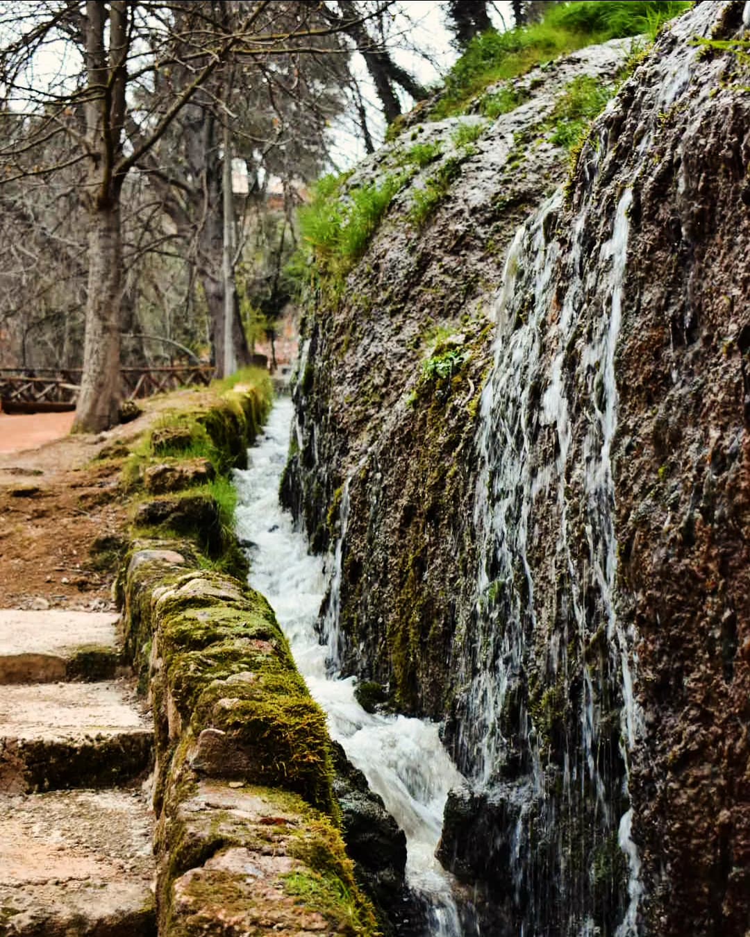 El Monasterio de Piedra: Un paraíso natural que resiste el paso del tiempo El Monasterio de Piedra: Un paraíso natural que resiste el paso del tiempo