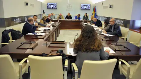 La rebaja fiscal, la acogida de migrantes o la seguridad en pisos tutelados centran el pleno de la Asamblea este jueves La rebaja fiscal, la acogida de migrantes o la seguridad en pisos tutelados centran el pleno de la Asamblea este jueves