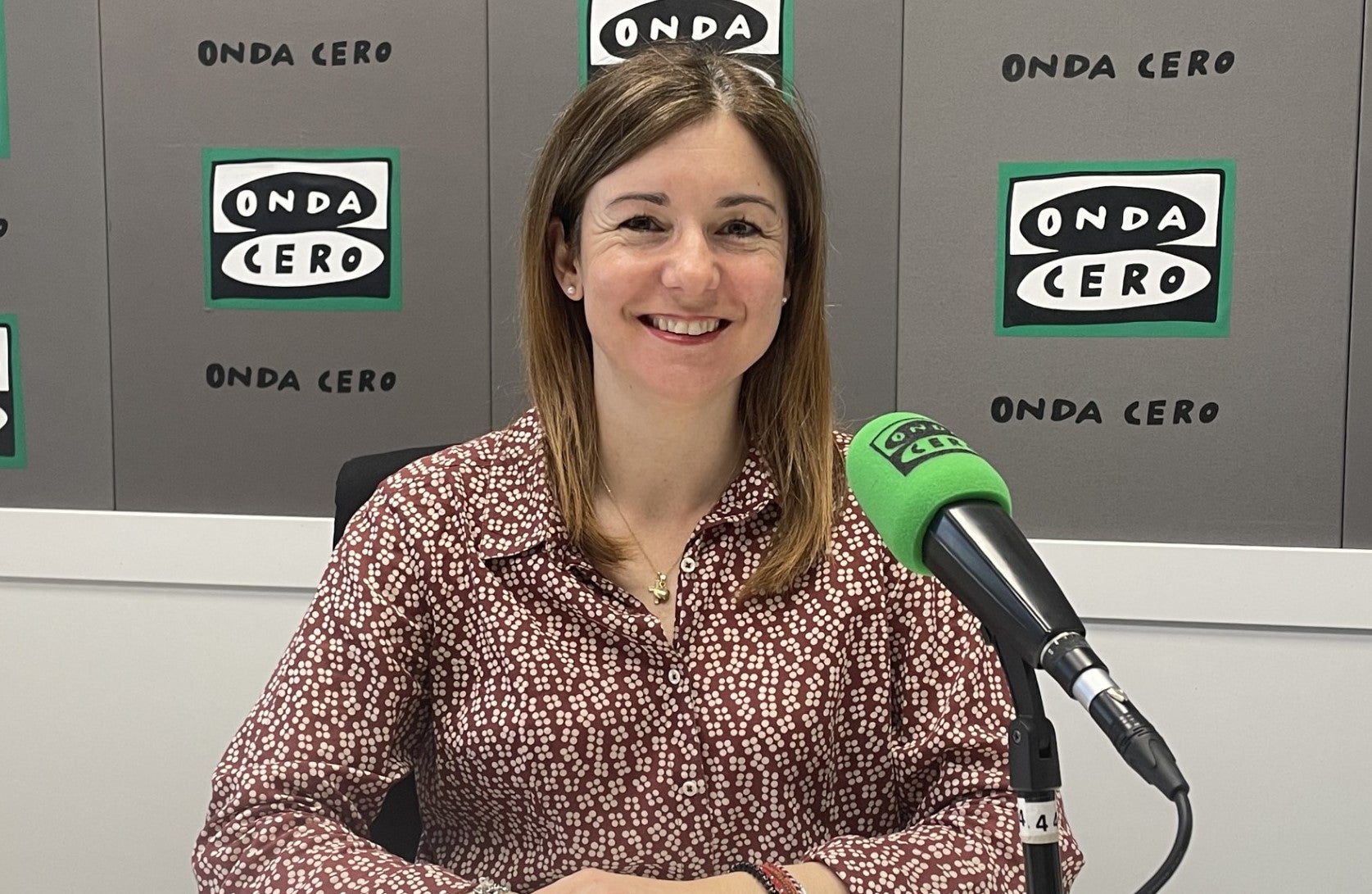 La Vila Joiosa realiza reformas y mejoras en diferentes colegios del municipio La Vila Joiosa realiza reformas y mejoras en diferentes colegios del municipio