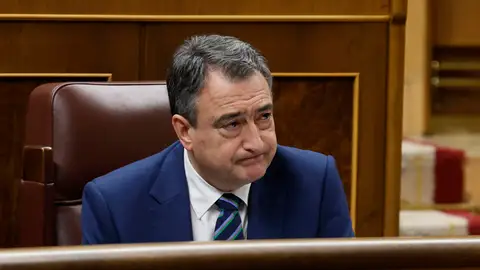 El portavoz del PNV, Aitor Esteban durante el pleno del Congreso El portavoz del PNV, Aitor Esteban durante el pleno del Congreso/ EFE/ Javier Lizón