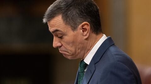 Pedro S&aacute;nchez en el Congreso de los Diputados