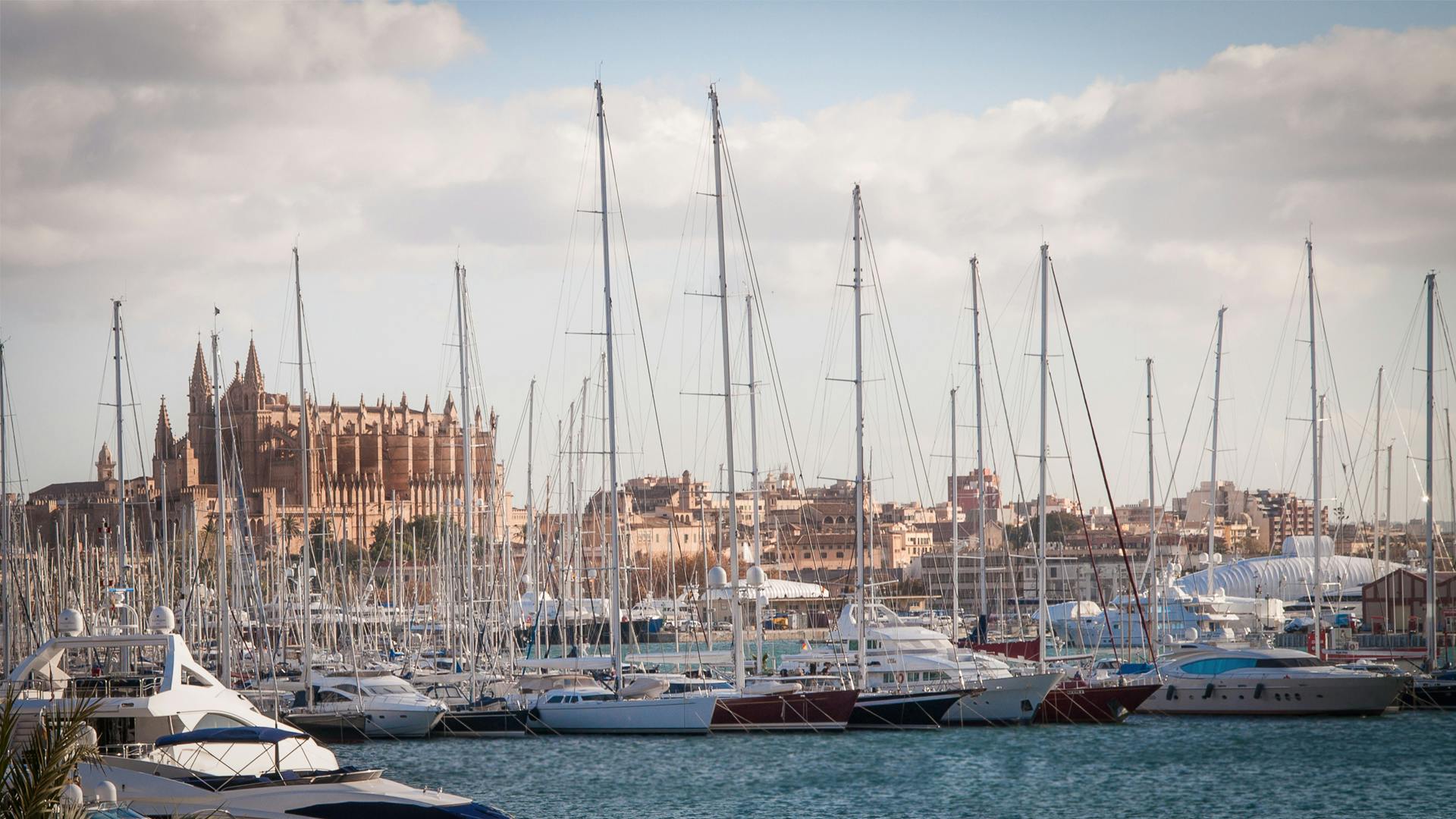 Palma: un destino cultural de gran envergadura Palma: un destino cultural de gran envergadura