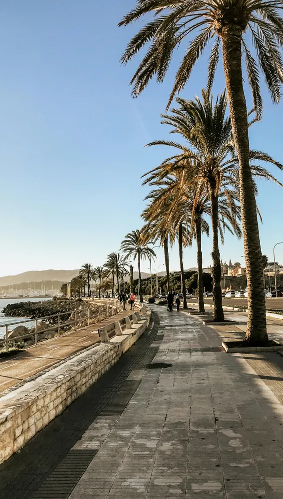 Paseo marítimo de Palma Paseo marítimo de Palma