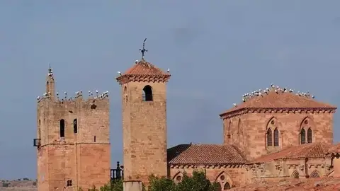 Las campanas de Guadalajara tañen por la ‘España Vaciada’ Las campanas de Guadalajara tañen por la ‘España Vaciada’