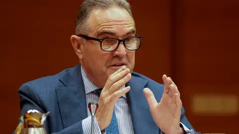 El vicepresidente segundo del Consell y conseller para la Recuperación Económica y Social, Francisco José Gan Pampols, en Les Corts El vicepresidente segundo del Consell y conseller para la Recuperación Económica y Social, Francisco José Gan Pampols, en Les Corts
