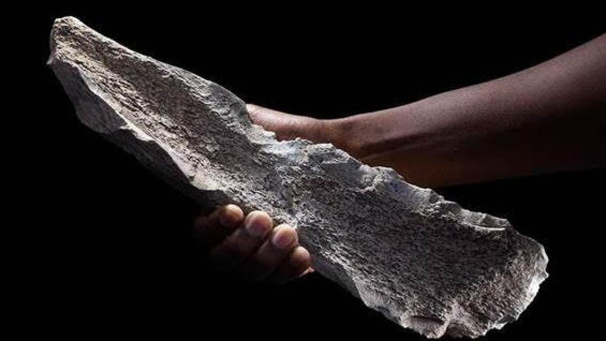 Hallan herramientas hechas de hueso un millón de años antes de lo que se se creía oficialmente. Hallan herramientas hechas de hueso un millón de años antes de lo que se se creía oficialmente.