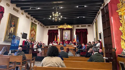 Pleno municipal de marzo en el Ayuntamiento de Elche. Pleno municipal de marzo en el Ayuntamiento de Elche.