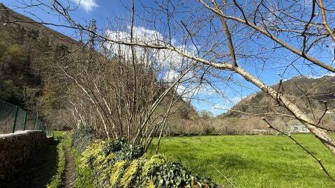 Quedamos en el Oriente