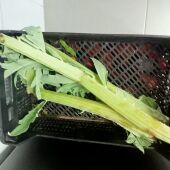 Frutas y verduras para las escoletas infantiles de Alzira