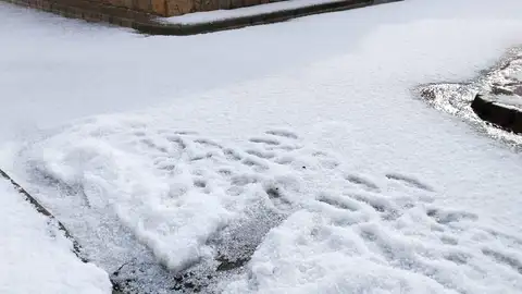 Balsa de Ves, uno de los más afectados por el granizo Balsa de Ves, uno de los más afectados por el granizo