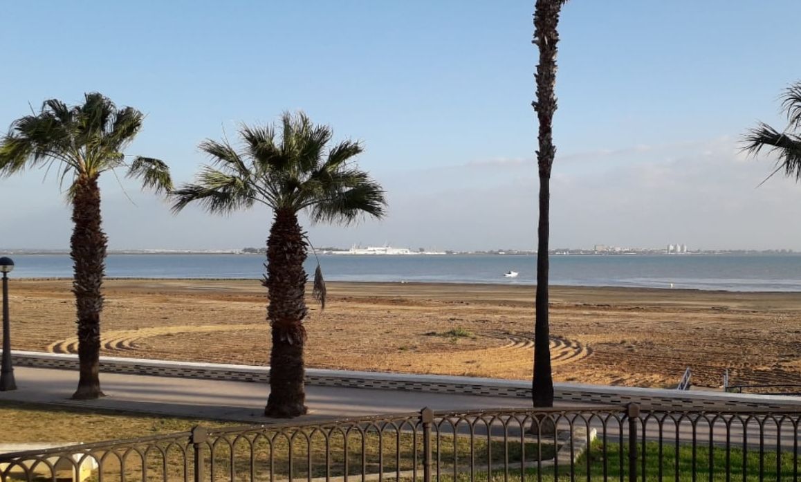 El Ayuntamiento de Puerto Real reitera a Costas que actúe para la regeneración de las playas de la localidad El Ayuntamiento de Puerto Real reitera a Costas que actúe para la regeneración de las playas de la localidad