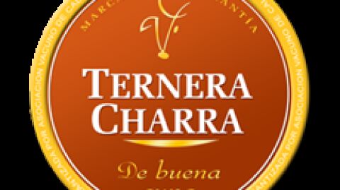 Ternera charra