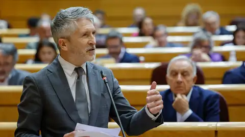 Ábalos pide que el ministro Marlaska y su número dos declaren como testigo en el Supremo Ábalos pide que el ministro Marlaska y su número dos declaren como testigo en el Supremo