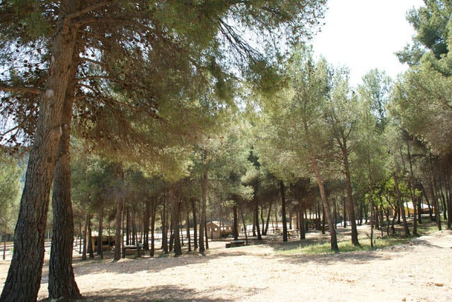 Onda ofrece una amplia programación para celebrar la Pascua Onda ofrece una amplia programación para celebrar la Pascua