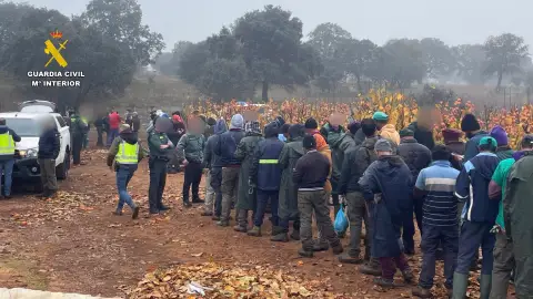 Desarticulado un grupo que proporcionaba mano de obra extranjera en situación ilegal a agricultores cacereños Desarticulado un grupo que proporcionaba mano de obra extranjera en situación ilegal a agricultores cacereños