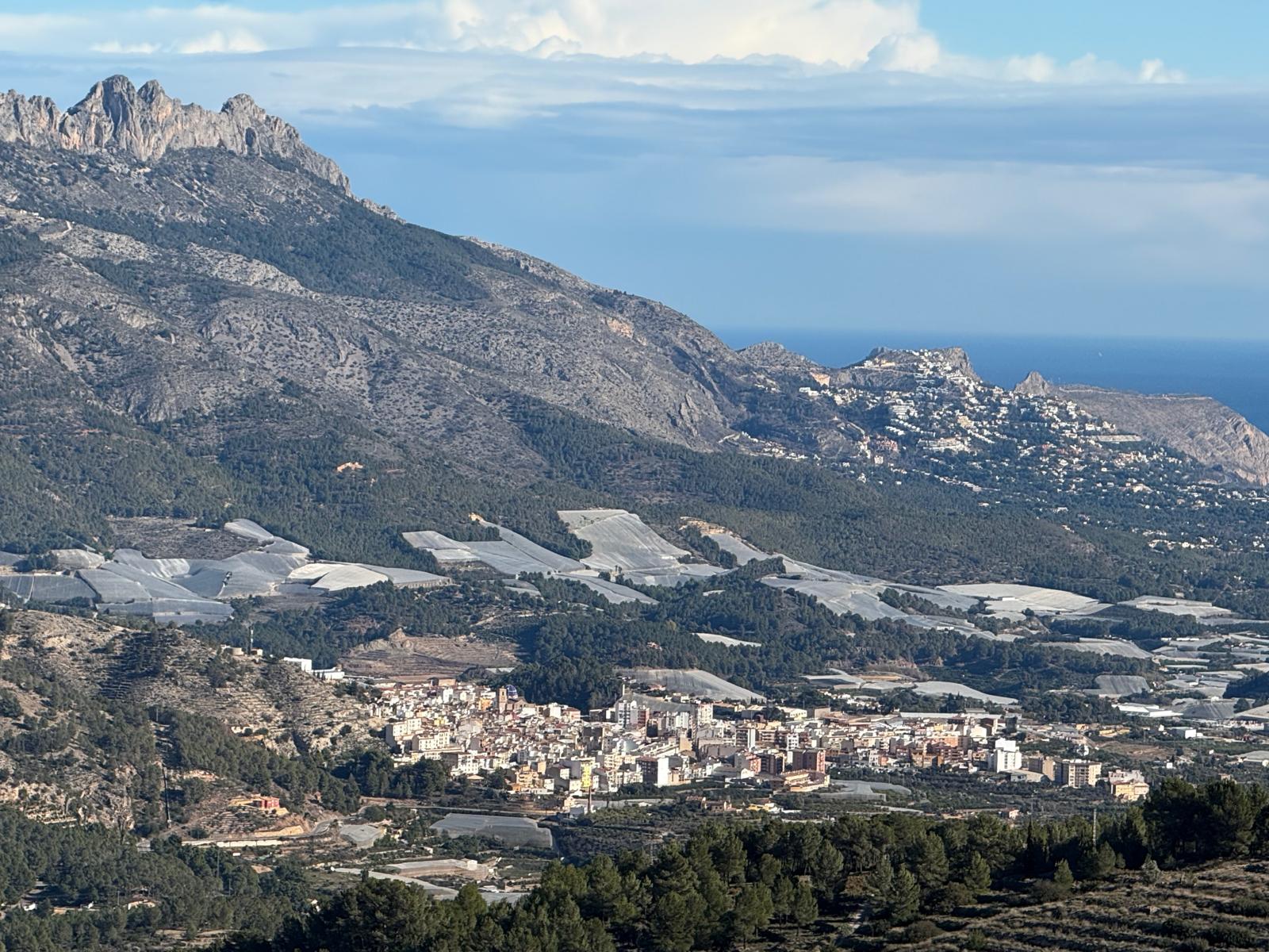 Callosa d’en Sarrià recibe dos ayudas de la Diputación, una para prevención de incendios y otra para esterilización de colonias felinas Callosa d’en Sarrià recibe dos ayudas de la Diputación, una para prevención de incendios y otra para esterilización de colonias felinas