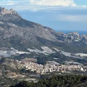 Callosa d'en Sarrià, productor del 70% del níspero en España Callosa d'en Sarrià, productor del 70% del níspero en España
