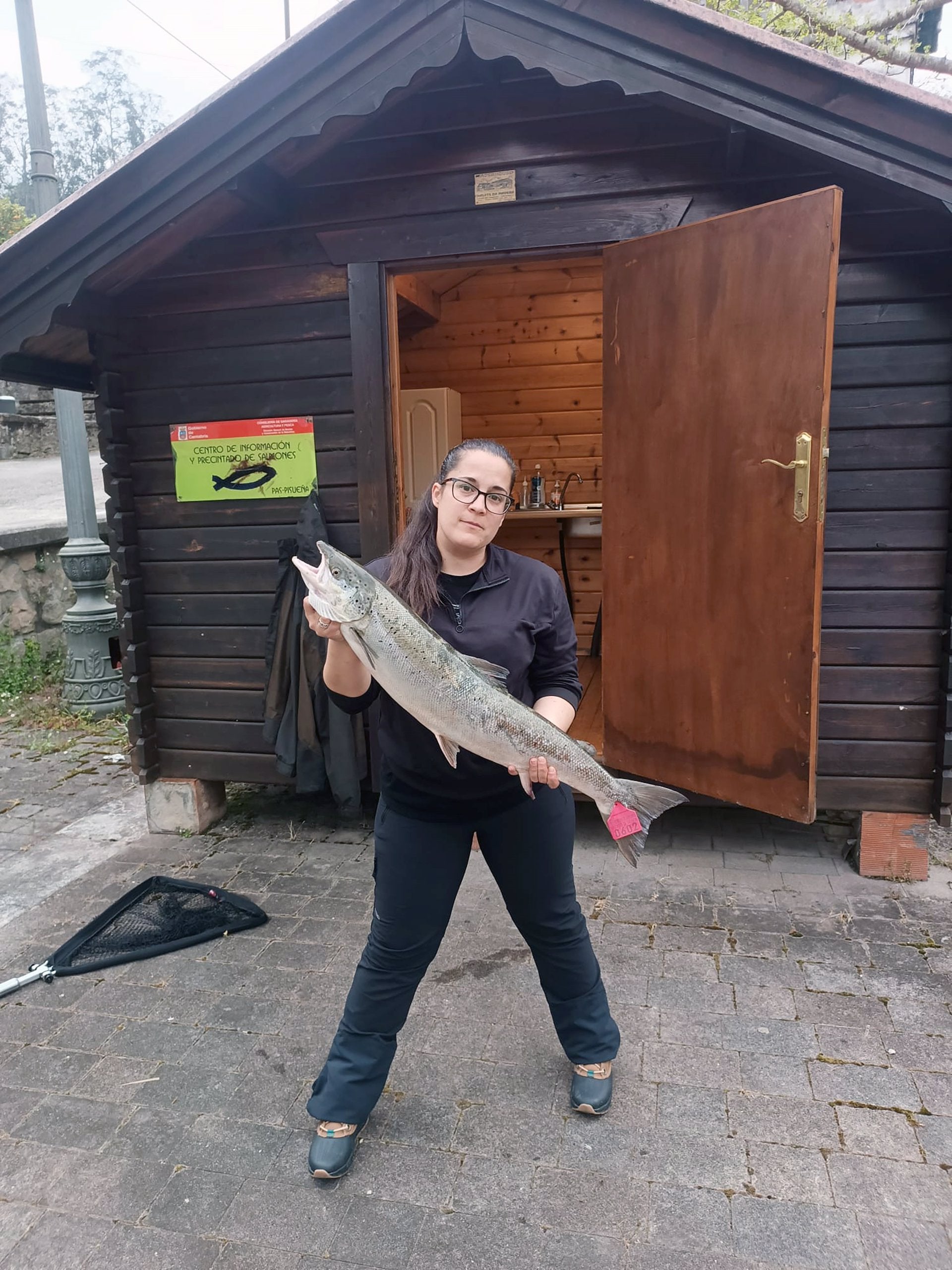 Una pescadora de Ramales captura en el río Pas el 'campanu', de 5,3 kilos Una pescadora de Ramales captura en el río Pas el 'campanu', de 5,3 kilos